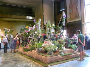 Varese Orchidea 2013 – Racconto