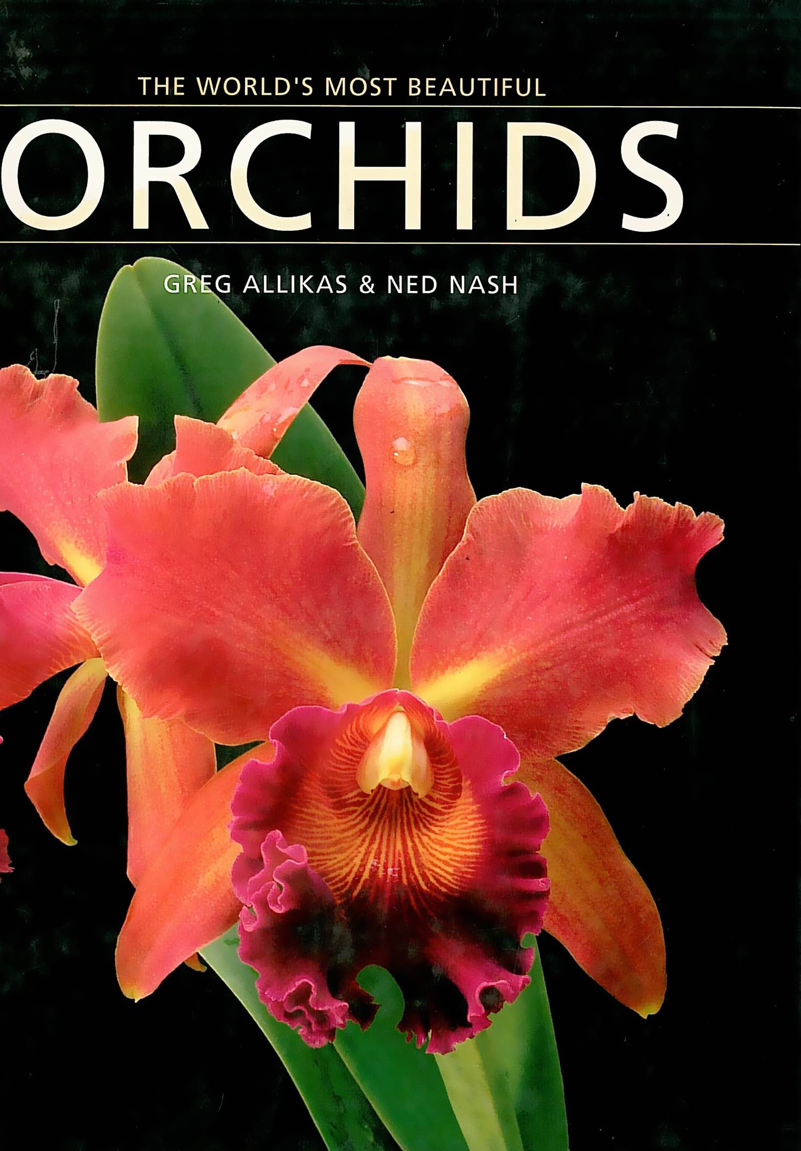 The world's most beautiful orchids - Cover Book