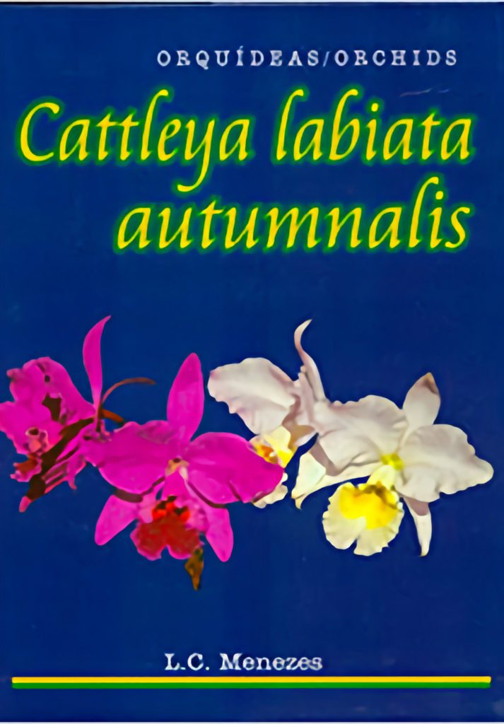 Cattleya labiata autumnalis
