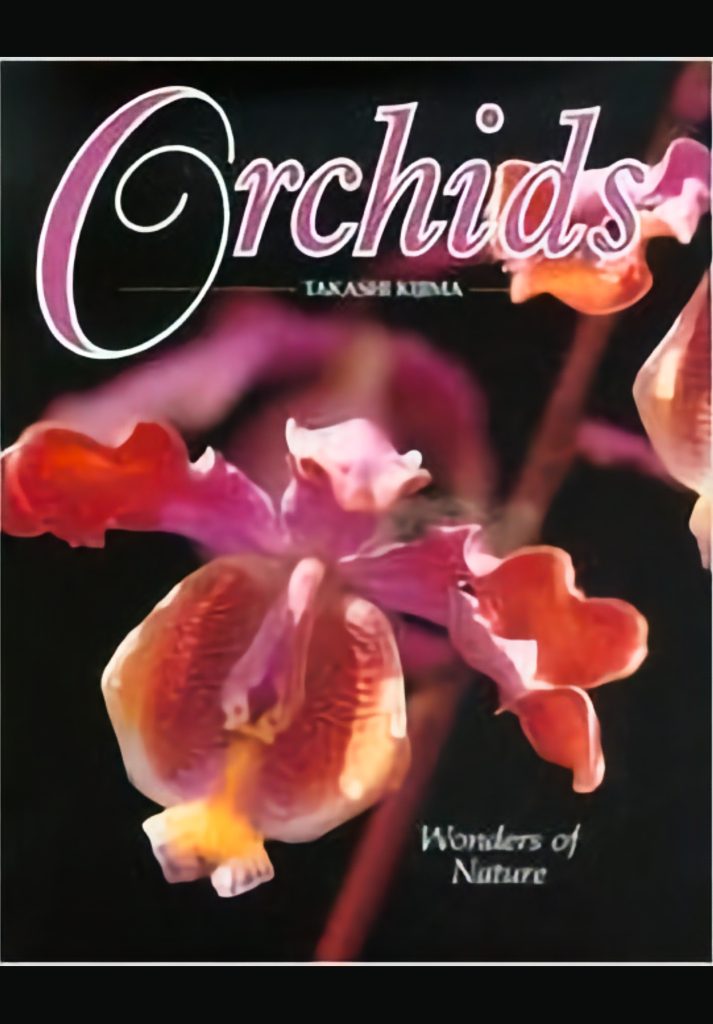 Orchids- Wonders of Nature