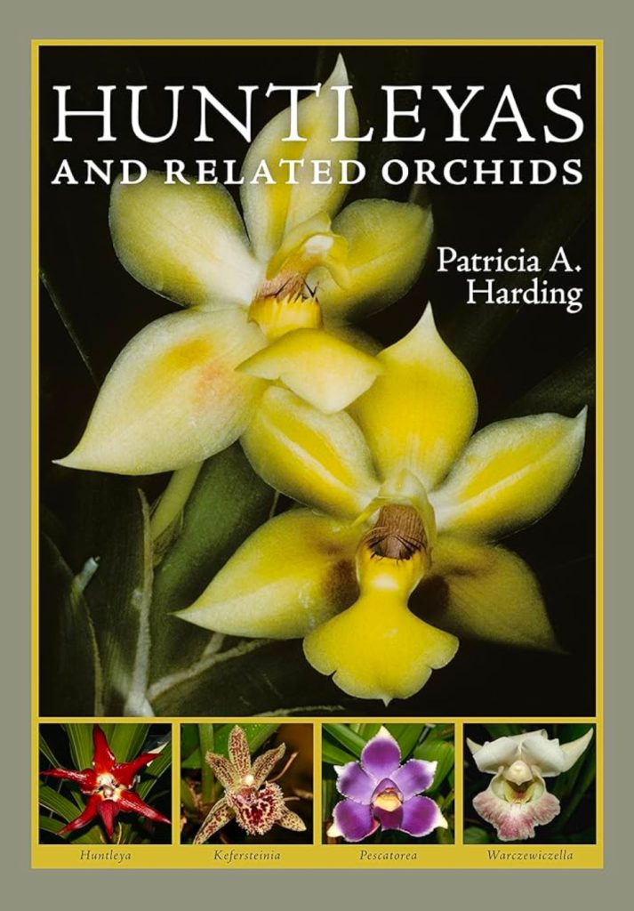 Huntleyas and Related Orchids