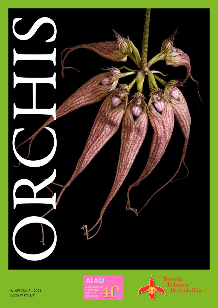 Copertina Orchis speciale 2021