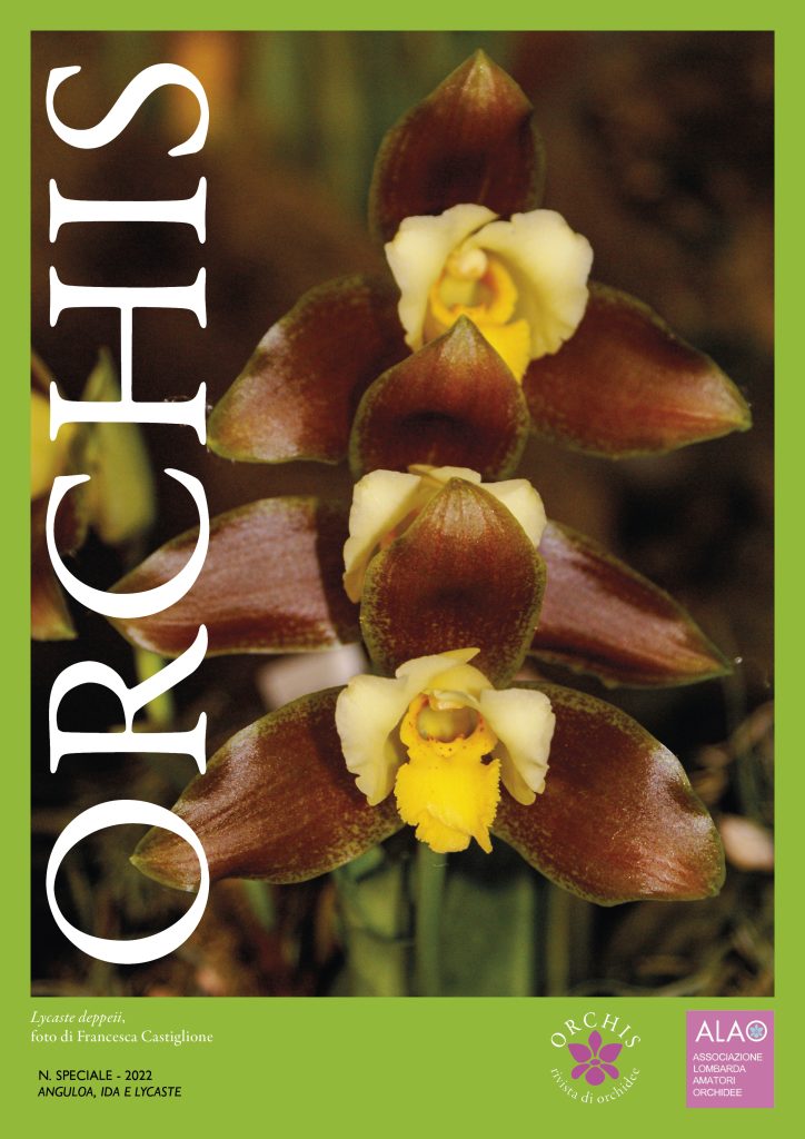 Copertina Orchis speciale 2022