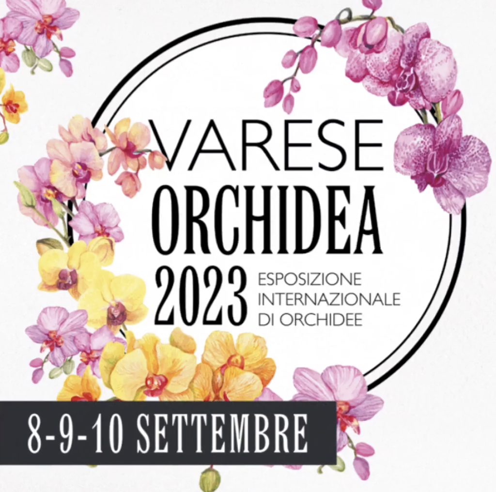 Varese Orchidea 2023