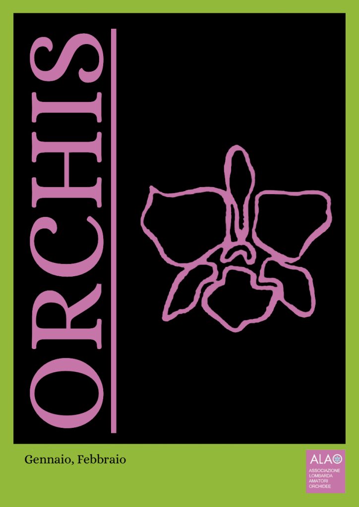OrchisCover 1998 n1
