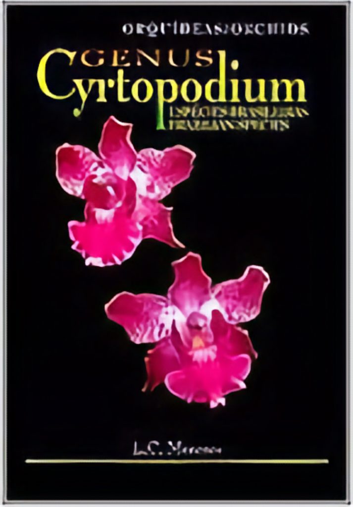 Genus Cyrtopodium – Brazilian species