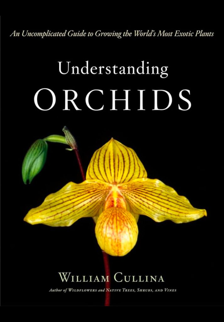 Understanding Orchids