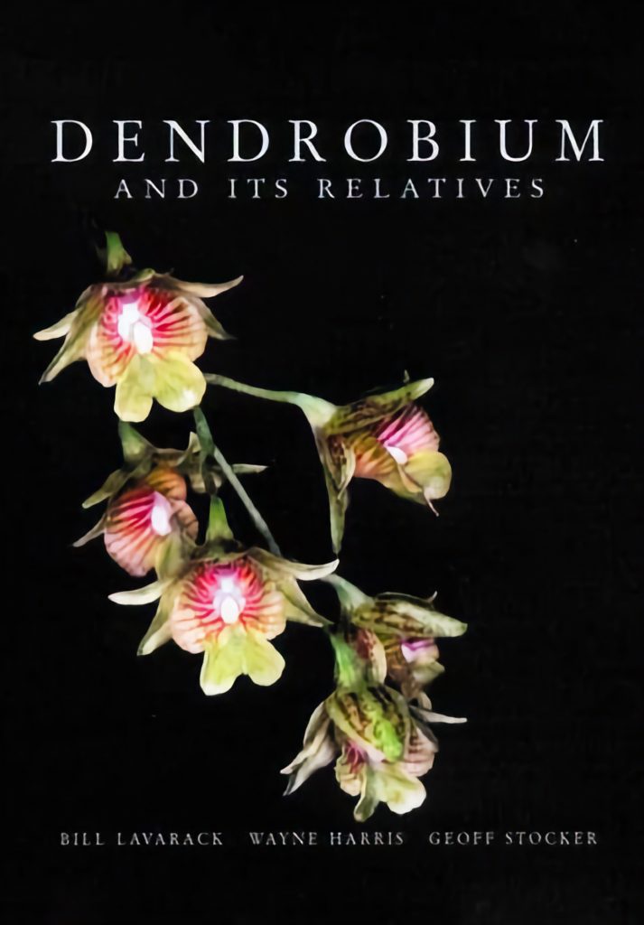 Dendrobium and Its Relatives