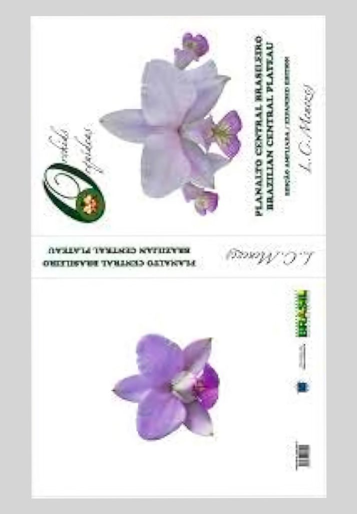 Orchids Orquideas