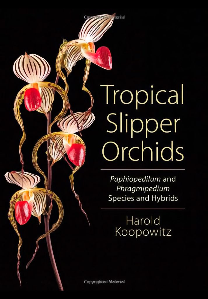 Tropical Slipper Orchids