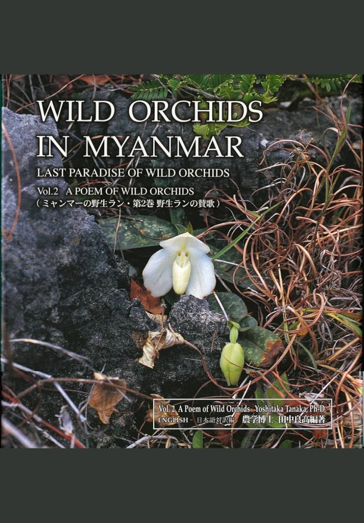Wild Orchids in Myanmar Vol 2- A Poem of Wild Orchids