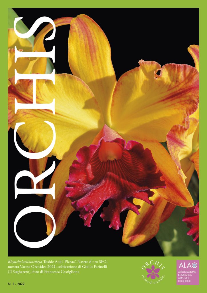 Copertina Orchis_1_2022