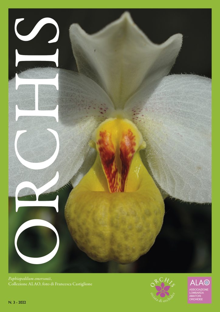 Copertina Orchis_3_2022