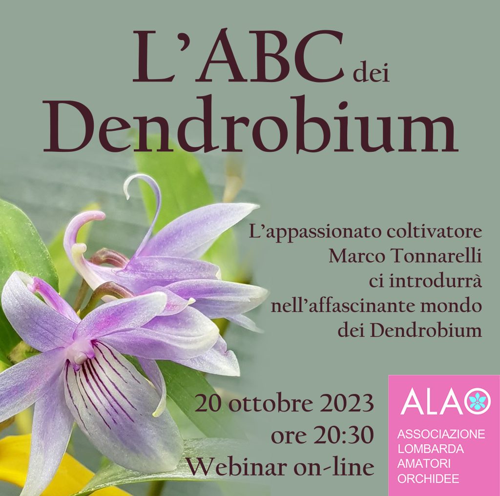 L'ABC dei Dendrobium