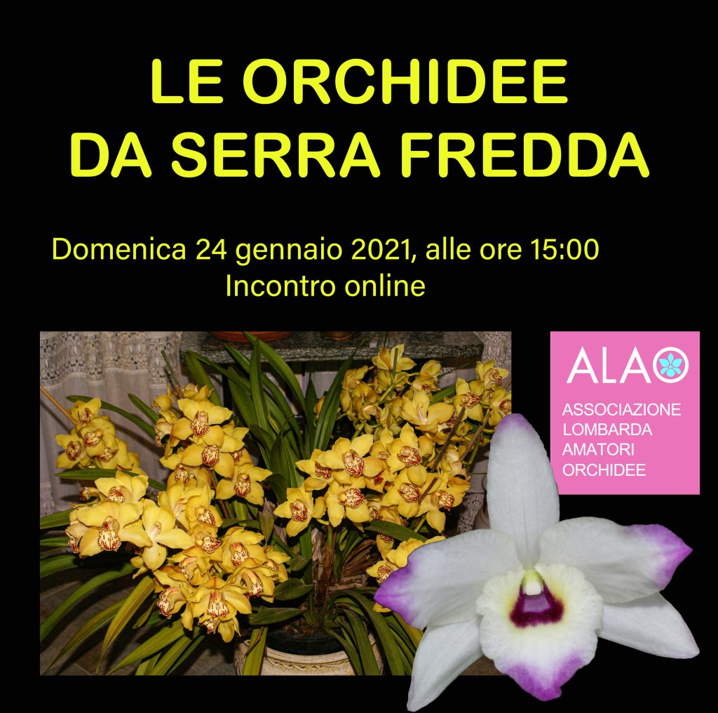 La Coltivazione di Orchidee in serra fredda