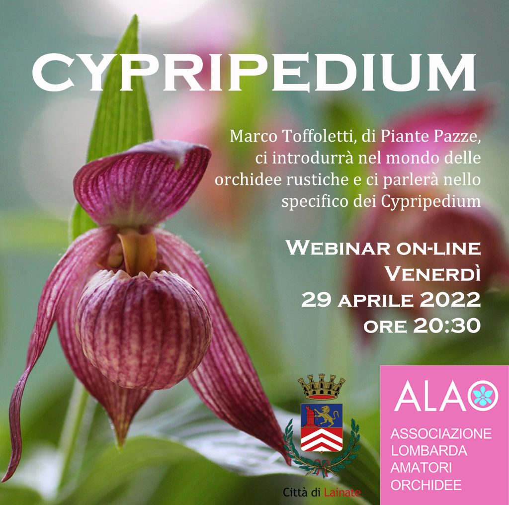 Cypripedium con Marco Toffoletti