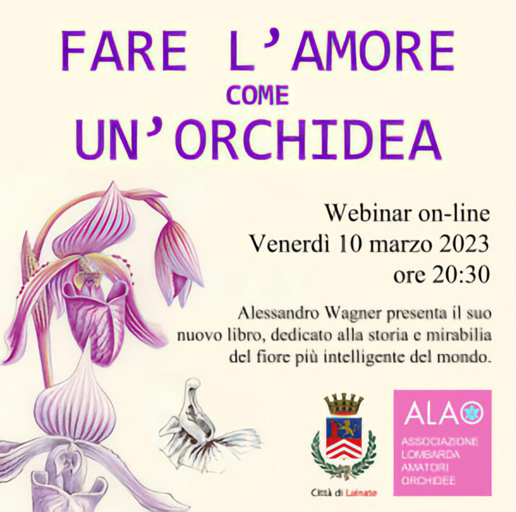 Fare l'amore come un orchidea