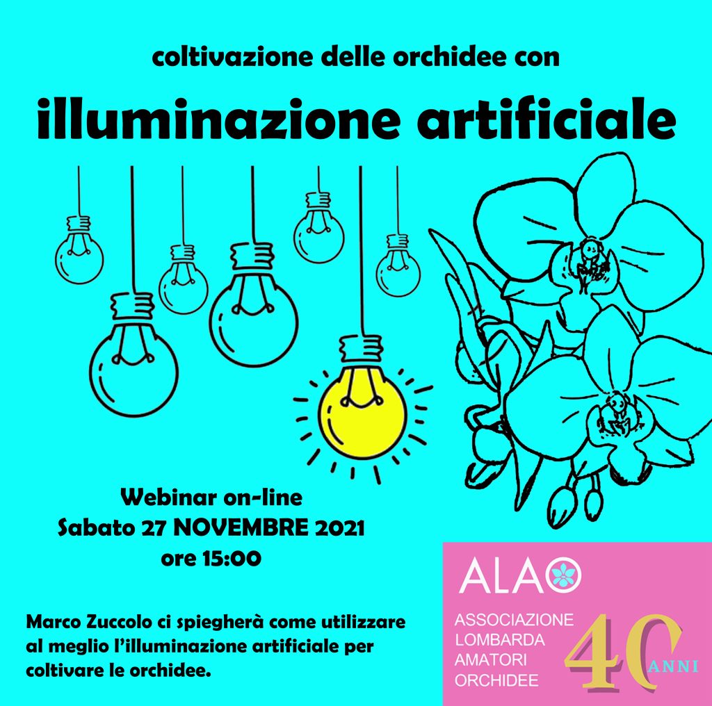 Illuminazione artificiale con Marco Zuccolo