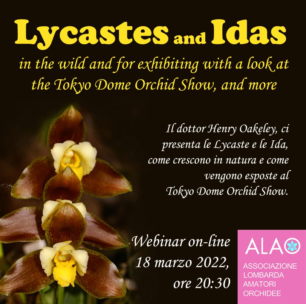 Lycaste and Idas – con il dott. Herny Oakeley