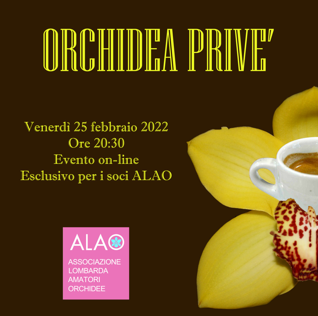 ORCHIDEA privè