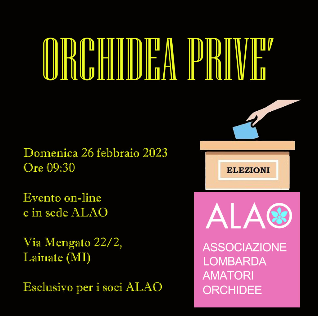 ORCHIDEA privè