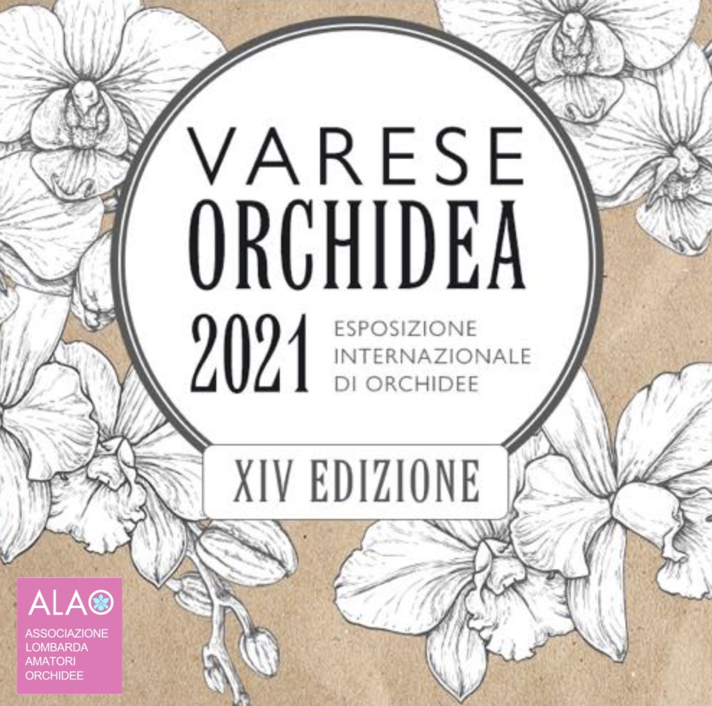 varese orchidea 2021