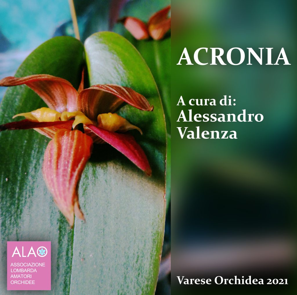 Acronia con Alessandro Valenza