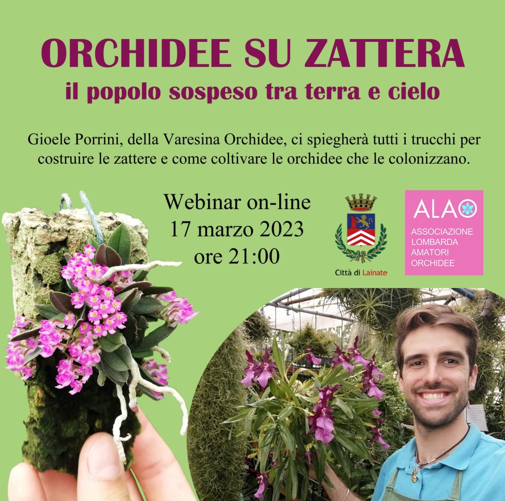 Orchidee su zattera con Gioele Porrini