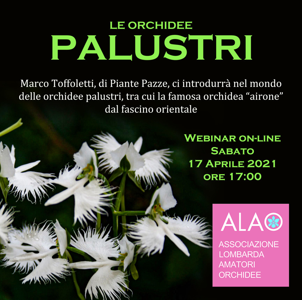 palustri