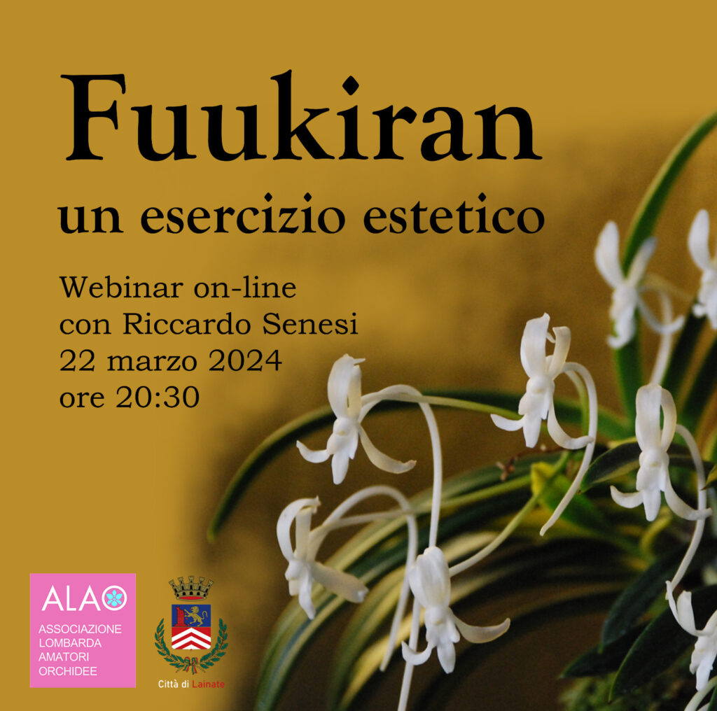 Fuukiran. Un esercizio estetico