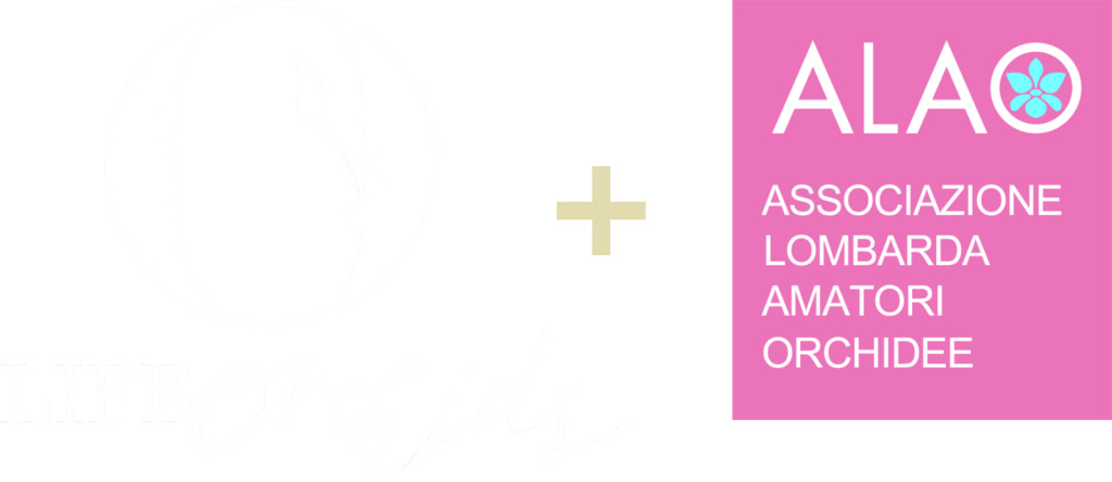 LogolifeOrchis+ALAO