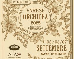 Varese Orchidea 2025 Save the date Varese Orchidea 2025 Save the date