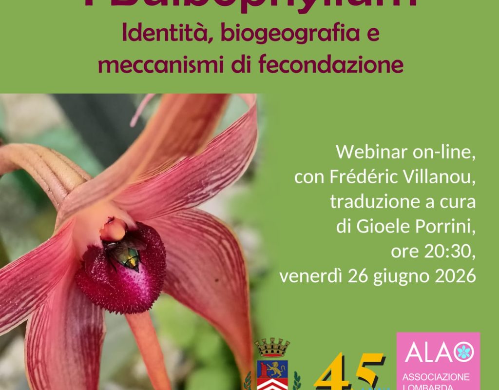 PHOTO-2026-06-17-22-24-53